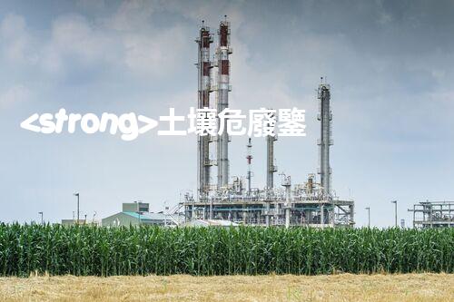 <strong>土壤危廢鑒定流程隱秘的廢棄物：揭開(kāi)城市底下的神秘面紗！</strong>